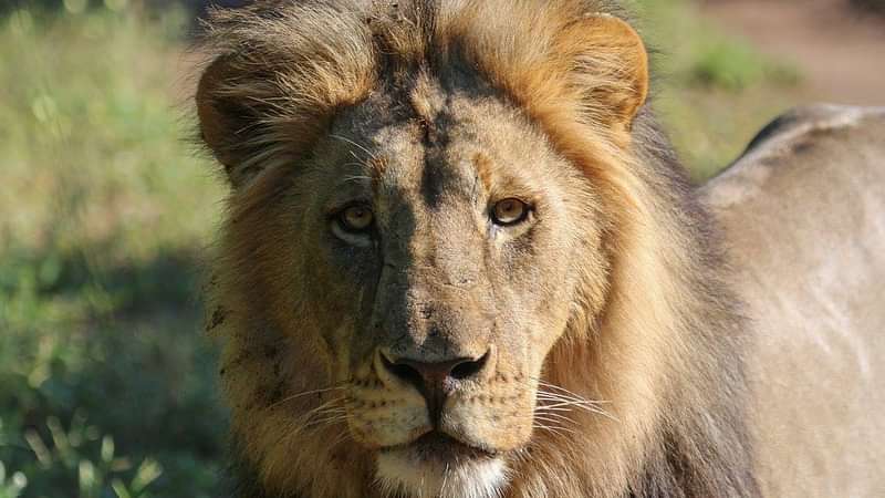 12 Day Popular Namibia Highlights Safari