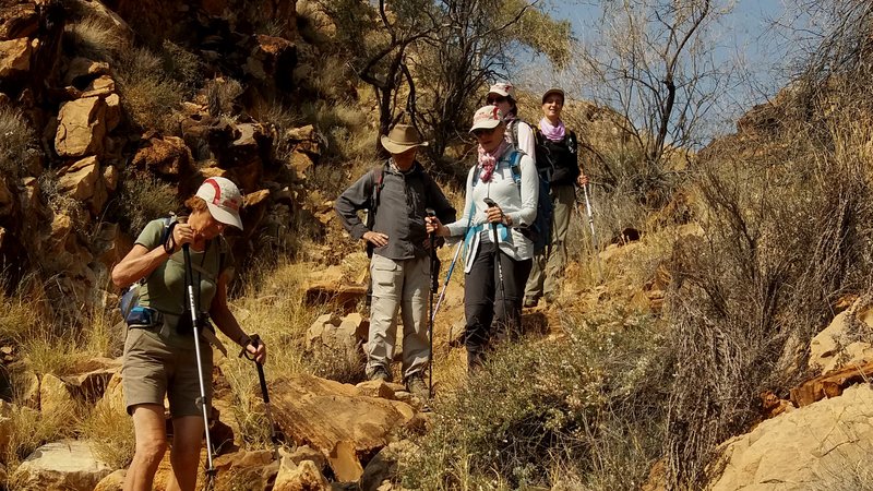15 Days Namibia Highlights Safari Hiking Trails