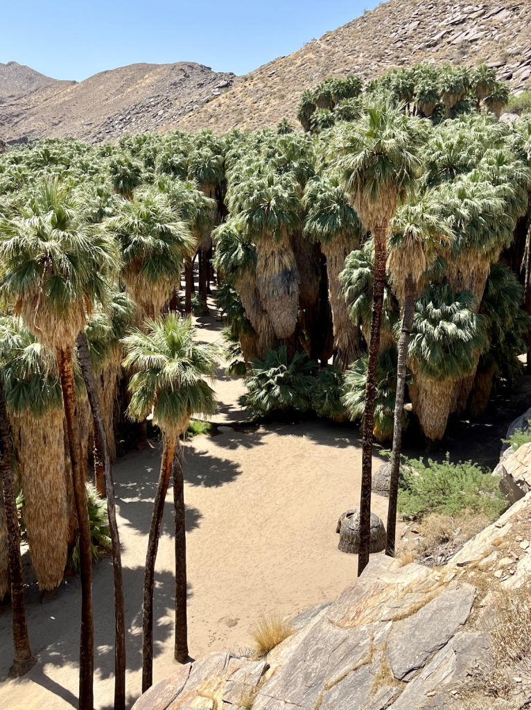A Guide To Visiting Indigenous Communities: Authentic Experiences ...