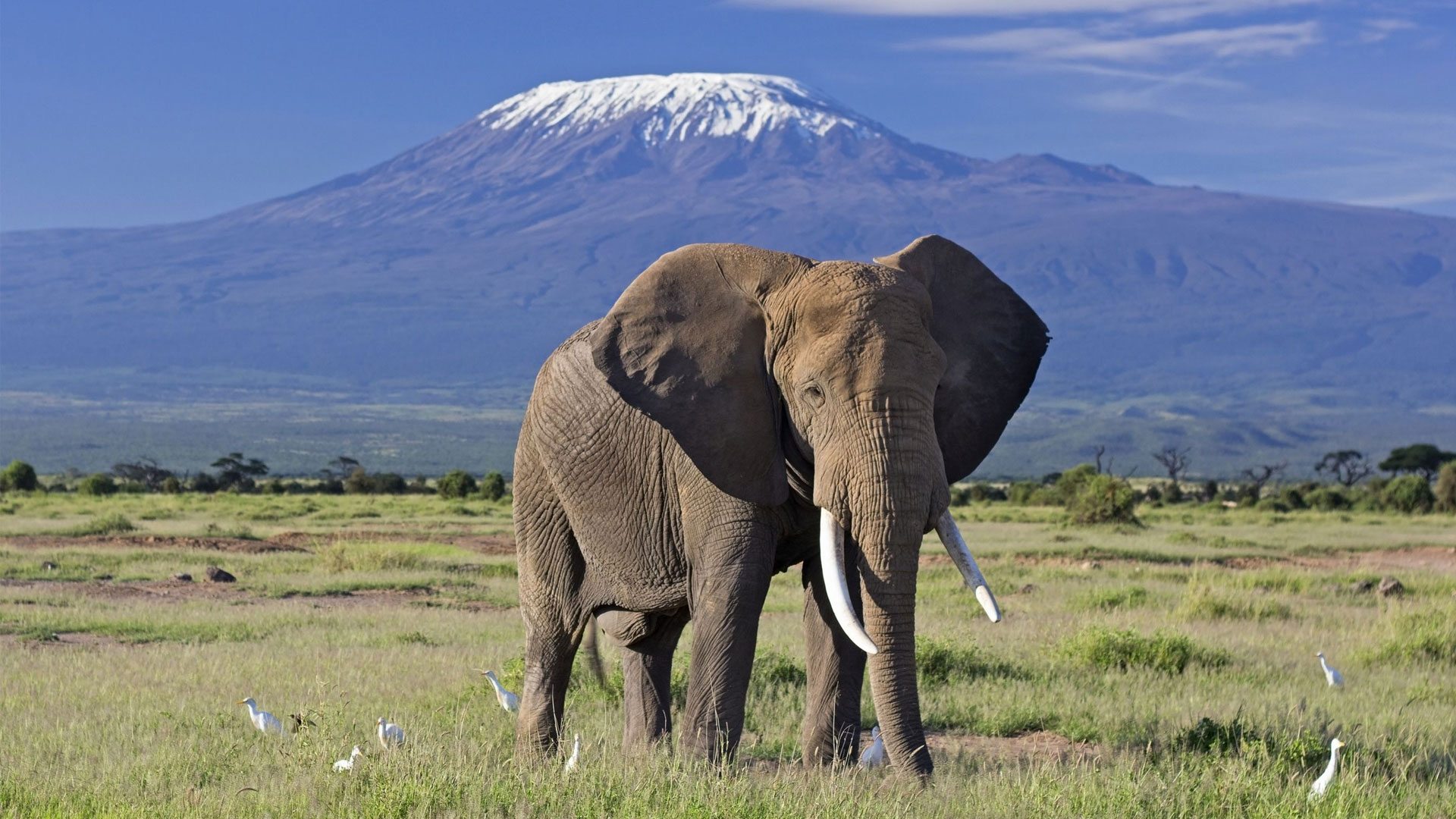 Ambolesi National Park