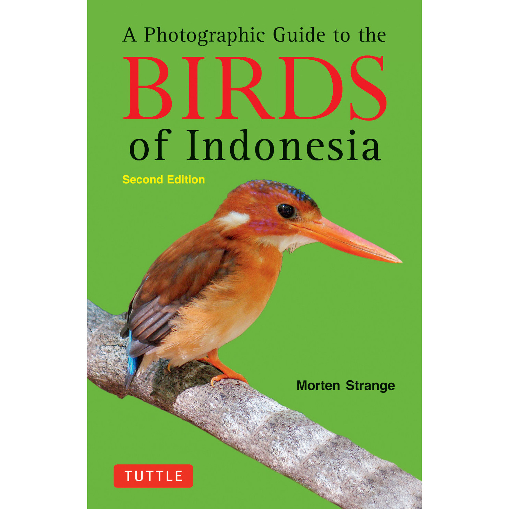 Birdwatching In Indonesia Our Guide To The Best Locations