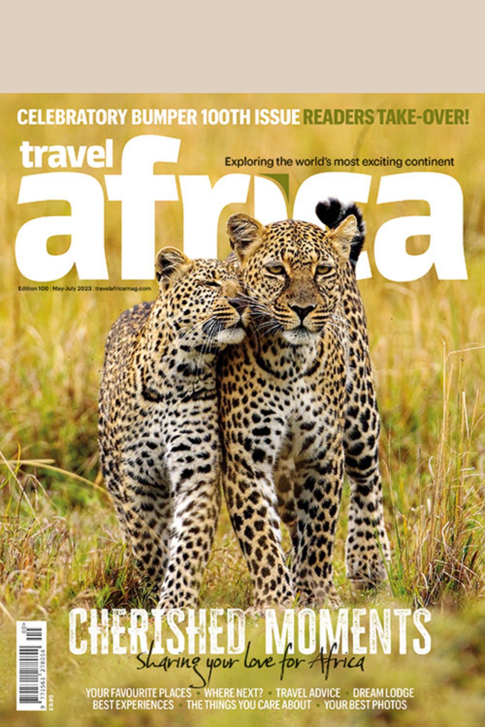 Dream Vacation In South Africa Tips For The Ultimate Experience