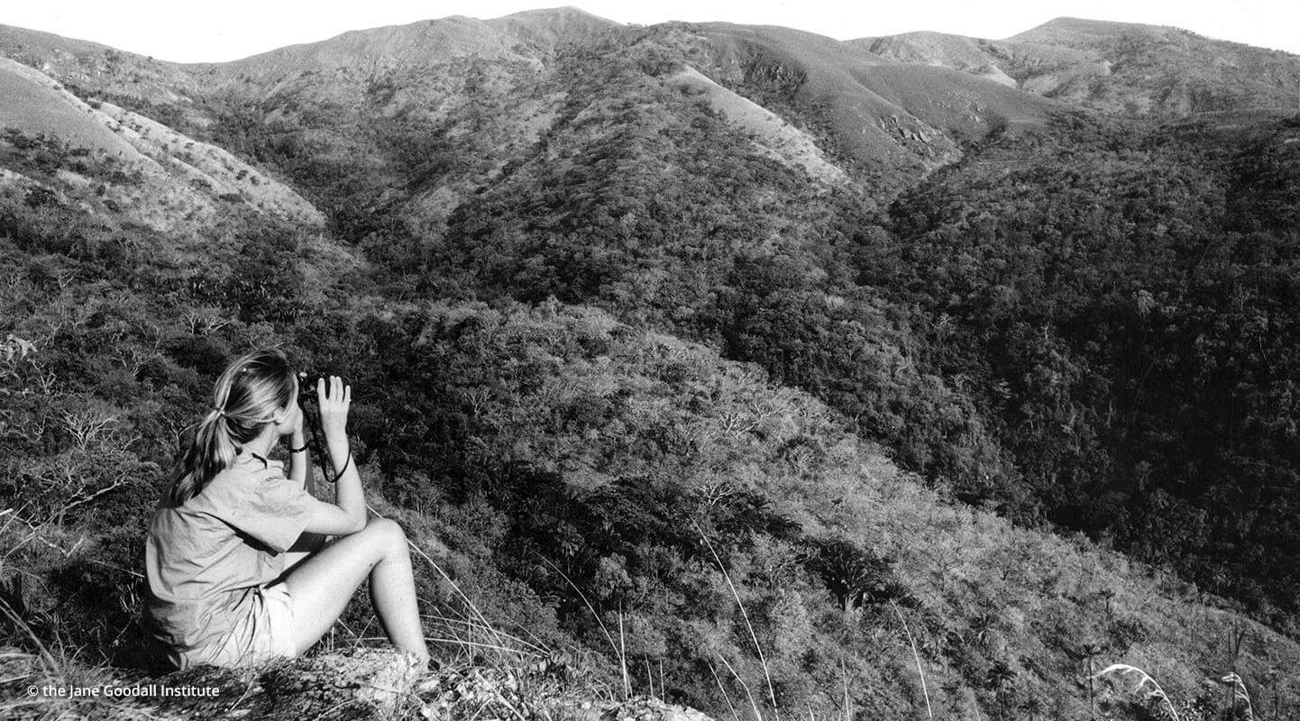 Follow In The Footsteps Of Jane Goodall