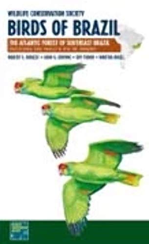 Our Guide To Brazils Wildlife 2