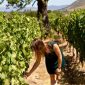 Santiago De Chile Wine Tour 5 Days