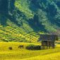 Sapa A Journey Into The Highlands Of Vietnam