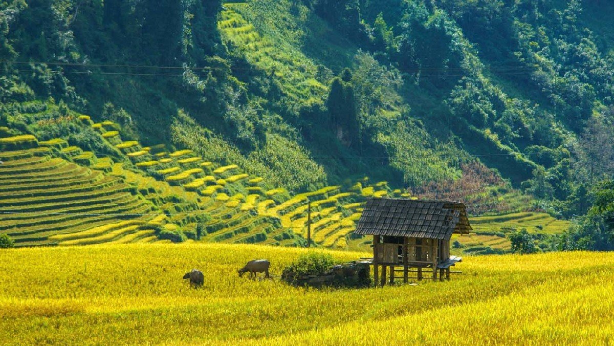 Sapa A Journey Into The Highlands Of Vietnam