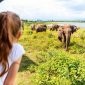 Sri Lanka Family Adventure