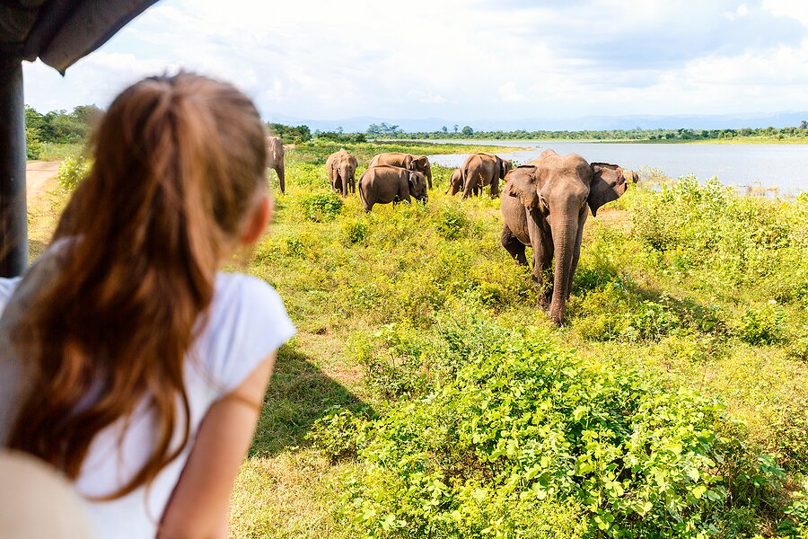 Sri Lanka Family Adventure