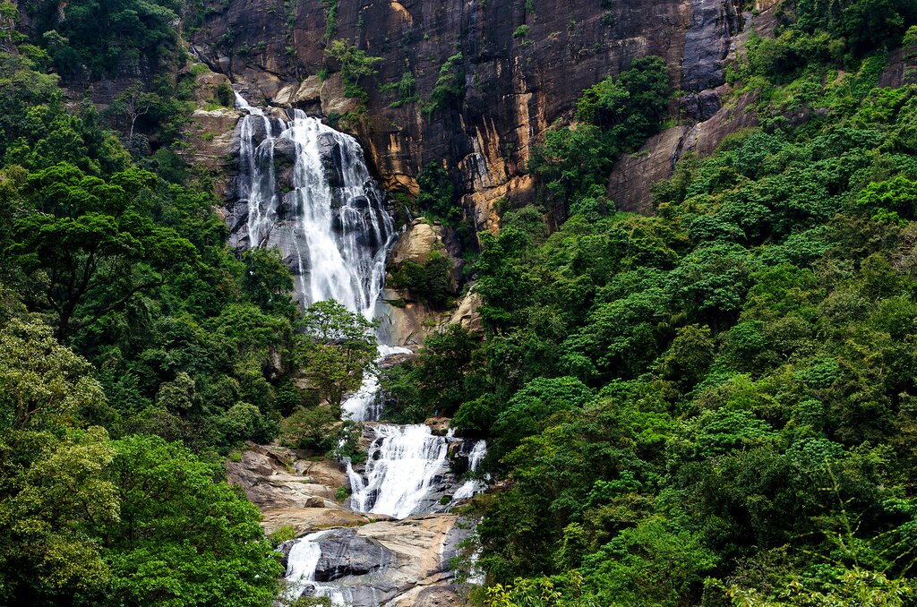Sri Lanka Nature Tour 11 Days