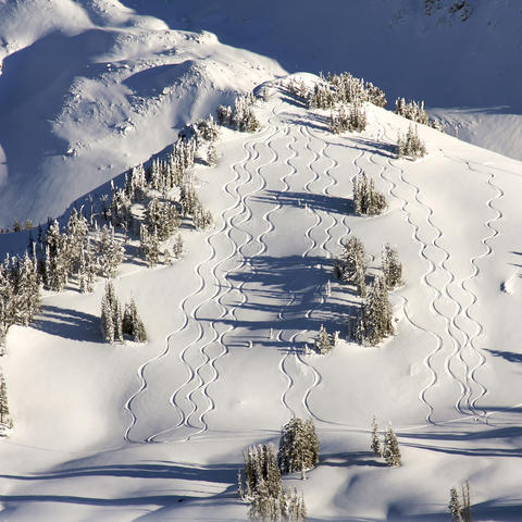 The Best Alternative Skiing Destinations