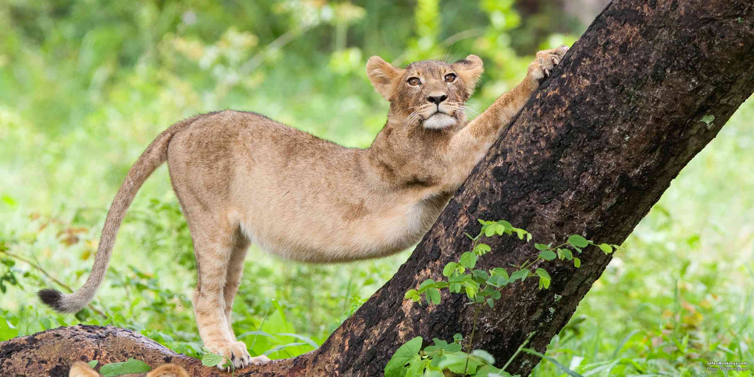 Zimbabwe Best Natural Attractions